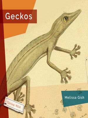 cover image of Geckos